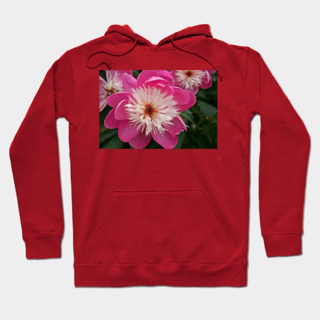 Summer Colour, June 2020 Hoodie by RedHillDigital